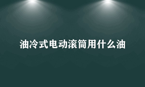 油冷式电动滚筒用什么油