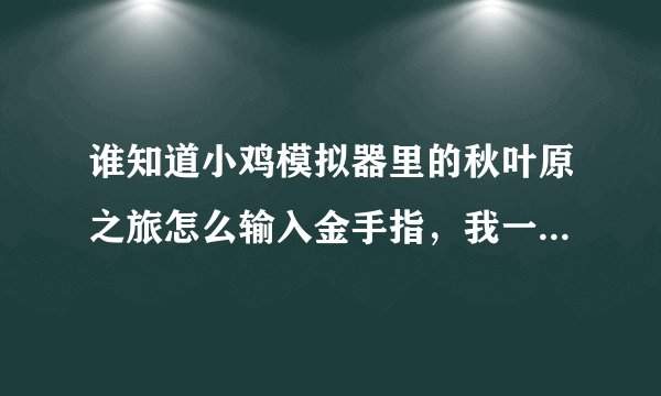 谁知道小鸡模拟器里的秋叶原之旅怎么输入金手指，我一点输入金手指就返回了，谁能告诉我，我真心感谢他，