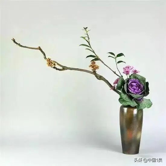 大家怎么看待阿沁和刘阳分手了这件事？