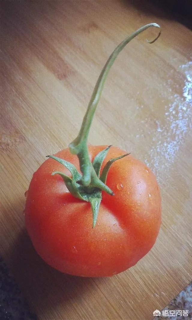 为什么以前的西红柿二三天就坏了，而现在买回来的西红柿一二个星期也不坏？