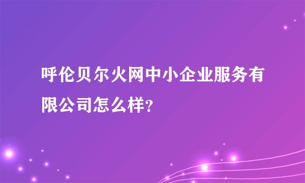 呼伦贝尔火网中小企业服务有限公司怎么样？