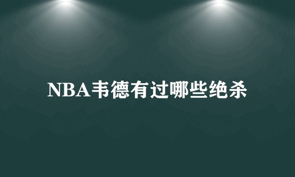 NBA韦德有过哪些绝杀