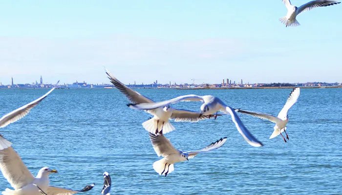 昆明电话区号是多少