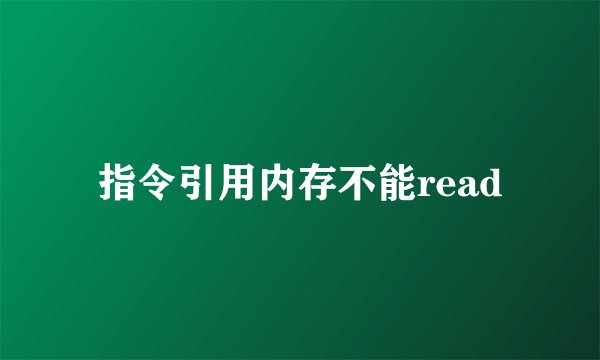 指令引用内存不能read
