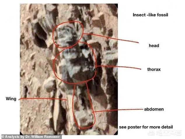 昆虫学家声称在火星上有重大发现，其理由是否充分？