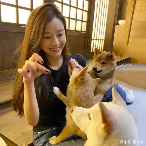 杜淳结婚了，你对他哪段情史印象深刻？