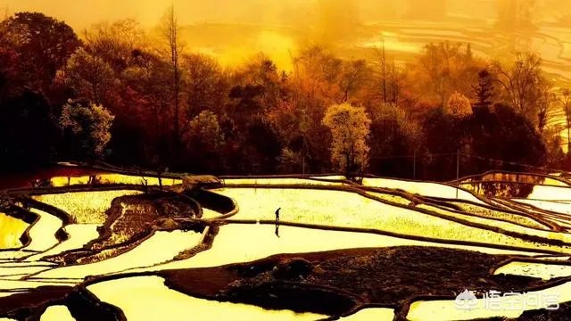 国内有哪些地方被誉为是“摄影人的天堂”？