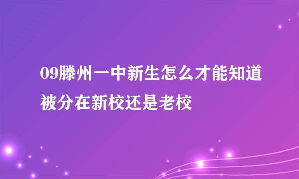 09滕州一中新生怎么才能知道被分在新校还是老校