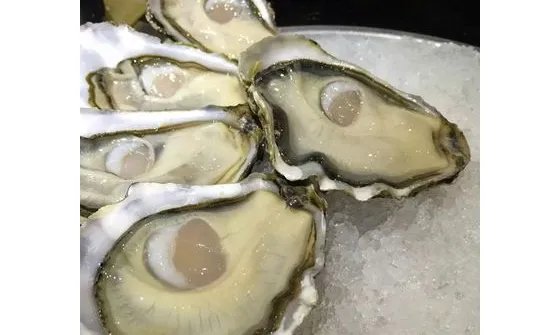 吉拉多生蚝等级