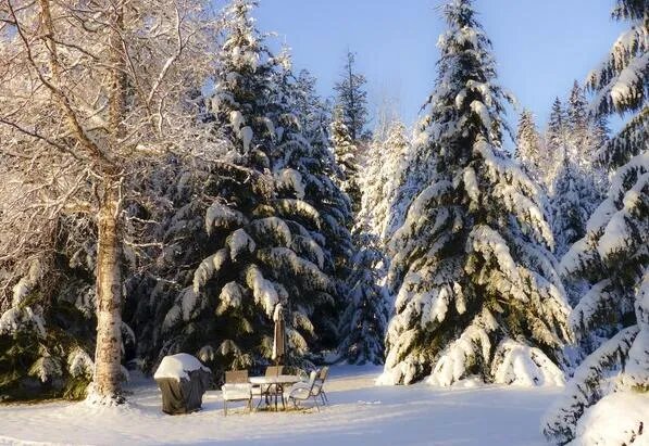 2019冬至暖心的祝福语大全 2019冬至暖心的祝福句子