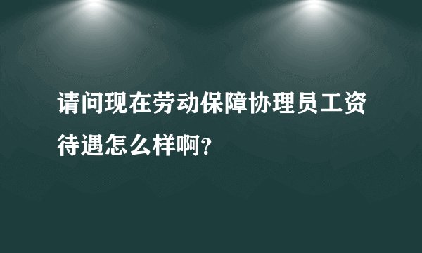 请问现在劳动保障协理员工资待遇怎么样啊？