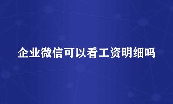 企业微信可以看工资明细吗