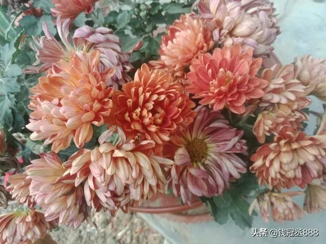 跳广场舞的人是什么心态?