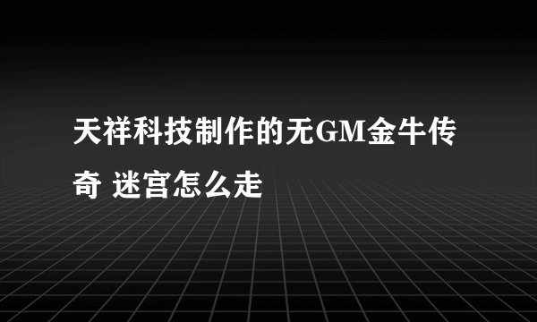 天祥科技制作的无GM金牛传奇 迷宫怎么走