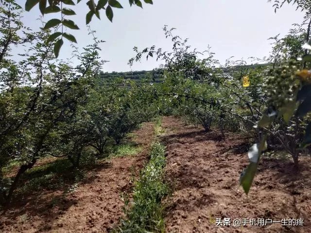 想听听你遇到过最难的事？是怎么度过的？