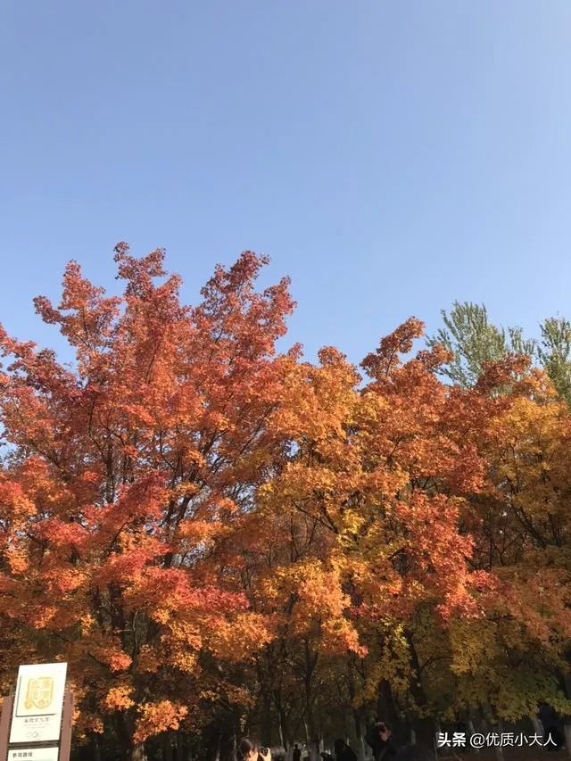 刚看完skt和g2的比赛，感觉lpl已经凉了一半了，你怎么看