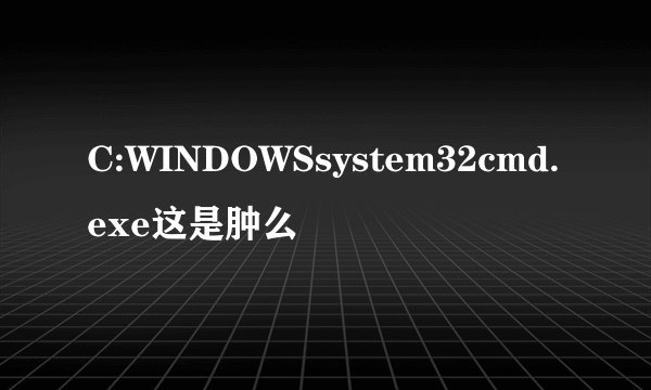 C:WINDOWSsystem32cmd.exe这是肿么