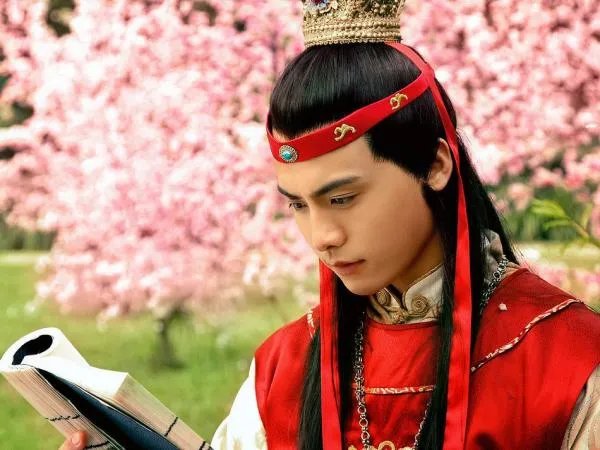 红楼梦马天宇版演员表