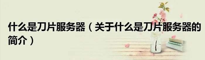 什么是刀片服务器（关于什么是刀片服务器的简介）