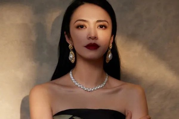 一场现实的狗血渣男渣女故事，凌潇肃与姚晨离婚的真相到底是什么？