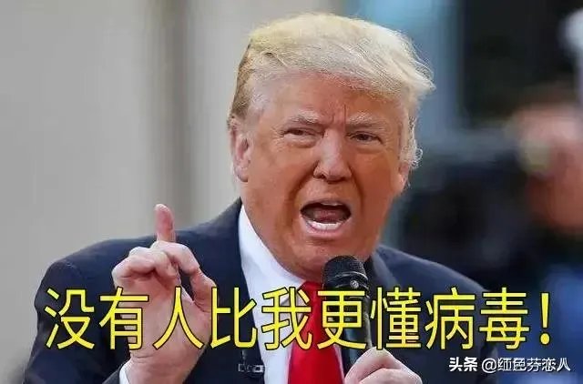 怼天怼地怼空气，特朗普躲进白宫，是否说明清算提前到来？