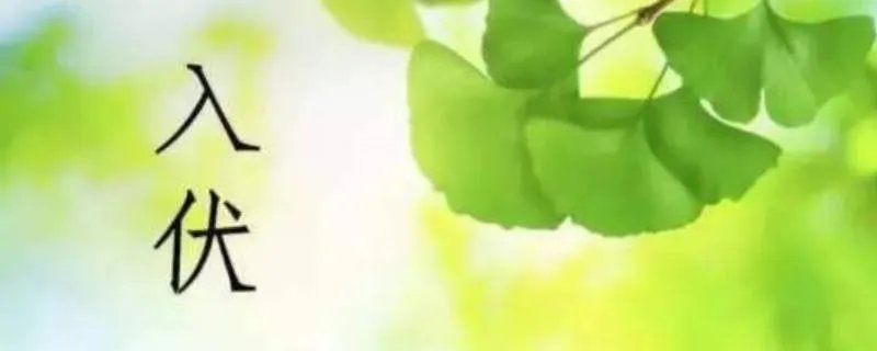 入伏从哪天算起