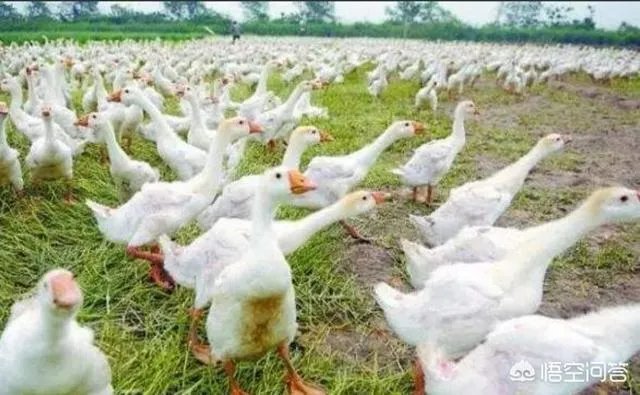 不要怕不会撑坏的