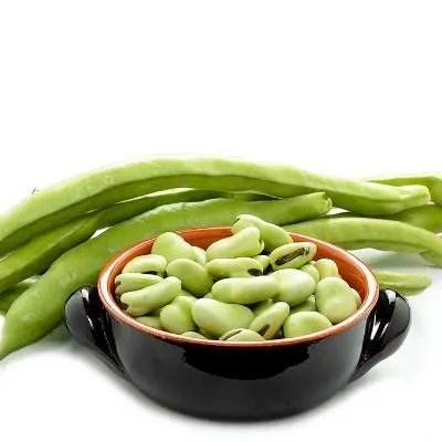 神经症的治疗方法 