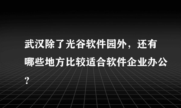 武汉除了光谷软件园外，还有哪些地方比较适合软件企业办公？