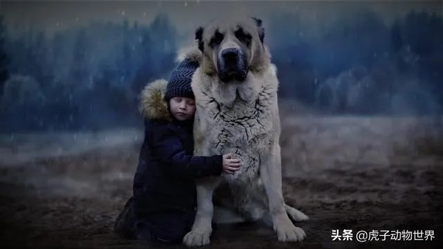 新手如何学习摄影？