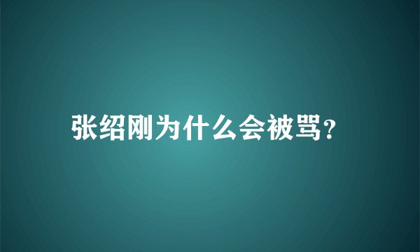 张绍刚为什么会被骂？