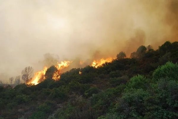 四川凉山为何会这么容易发生火灾？究竟是什么原因？