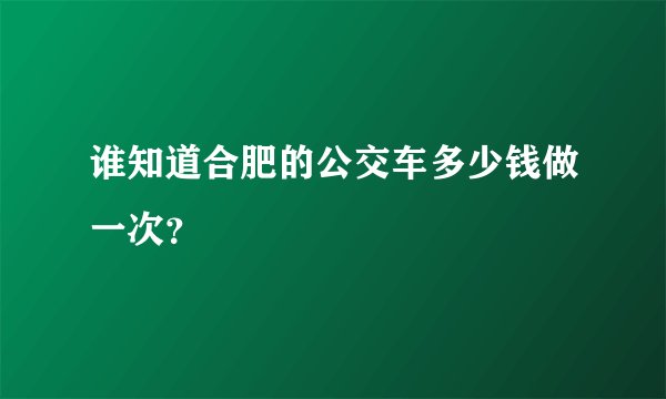 谁知道合肥的公交车多少钱做一次？