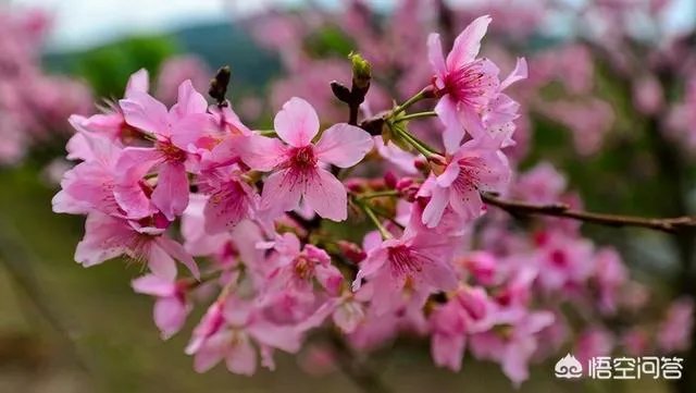 翁源有什么风景区吗?