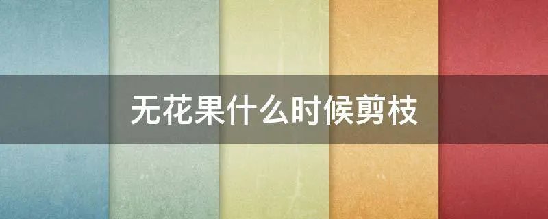 无花果什么时候剪枝