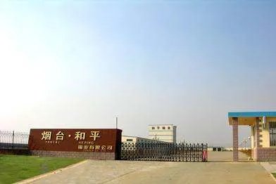 烟台的大公司大品牌有哪些？