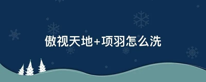 傲视天地 项羽怎么洗