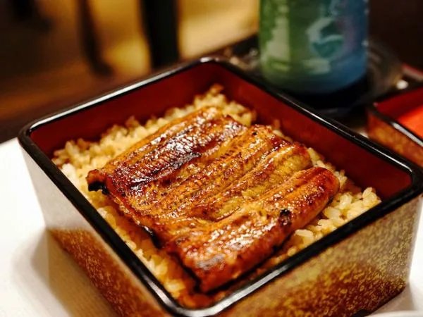 日本鳗鱼价格上涨超三成，导致其涨价的原因是什么？