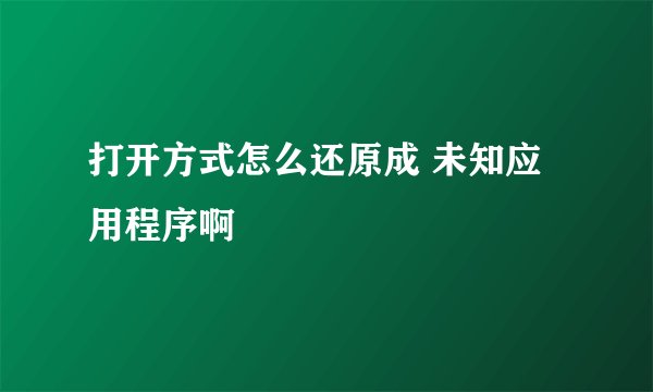 打开方式怎么还原成 未知应用程序啊