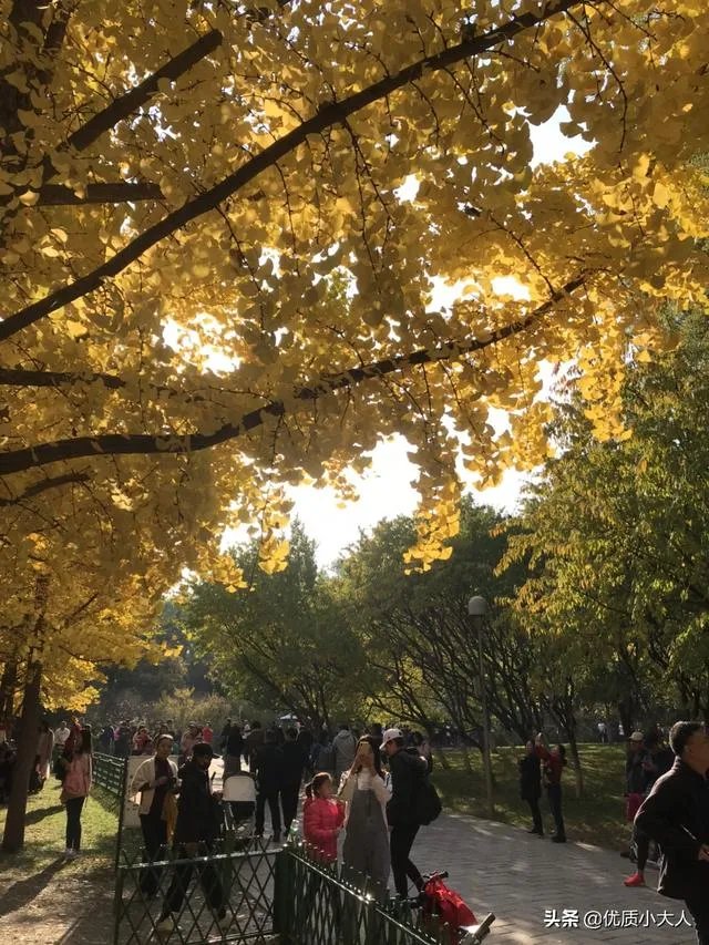 刚看完skt和g2的比赛，感觉lpl已经凉了一半了，你怎么看