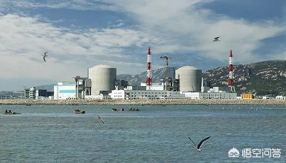 为什么核电站一般都会建造在海边?