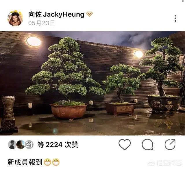 6月17日郭碧婷腹部隆起似皮球被猜测怀孕，为什么明星生子这么多人关注？