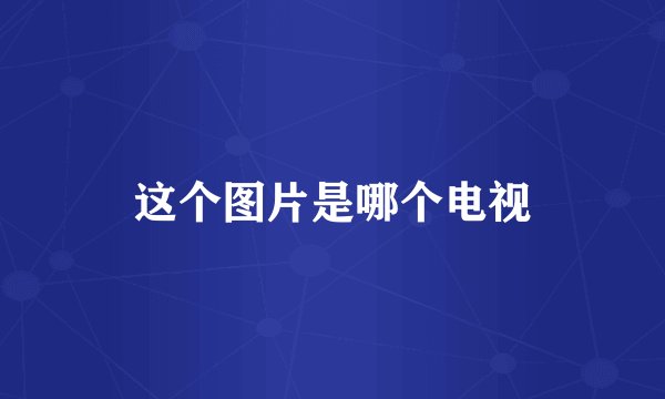 这个图片是哪个电视