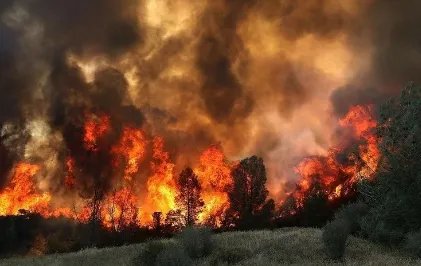 美国加州大火是什么原因导致的？火情有多可怕？