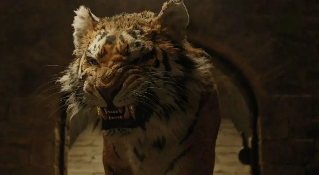 多力特的奇幻冒险评价（有钢铁侠主演《多力特的奇幻冒险》）