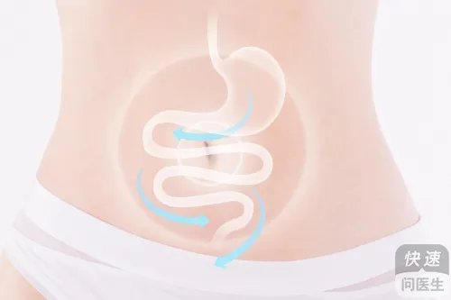 成人益生菌的作用与功效，改善肠胃还能提高免疫力