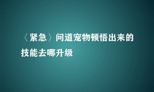 〈紧急〉问道宠物顿悟出来的技能去哪升级