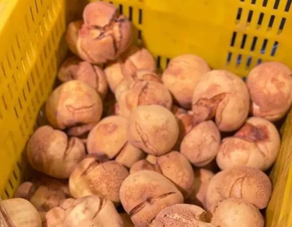 爆炸桃上市成网红，这种桃子为何能走红网络？