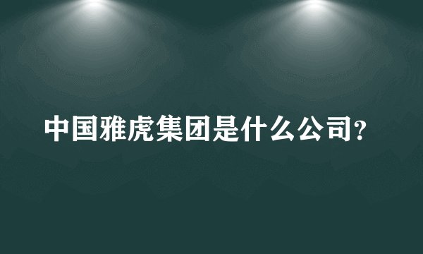 中国雅虎集团是什么公司？