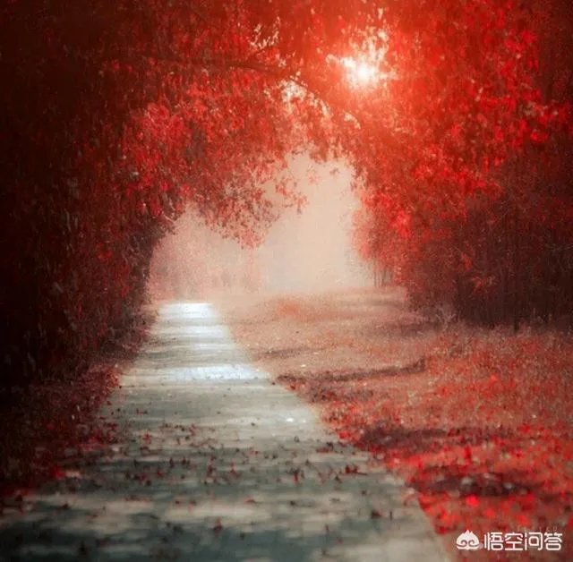 上联：春风春雨绿春柳，如何对下联？